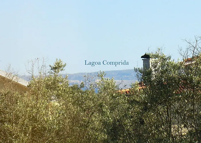 Casa Do Lagar De Tazem Bed and breakfast 3*